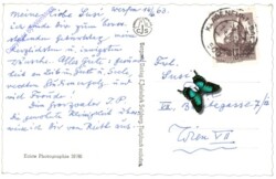 Werfen, mit Festung g.d. Hochkönig