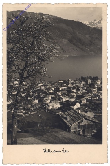ak122494 Zell am See, Ortsansicht