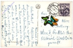 Zell am See, g. Imbachhorn u. Hochten