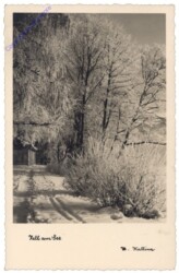 Zell am See, Ansicht