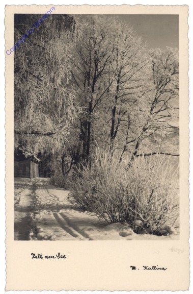 Zell am See, Ansicht