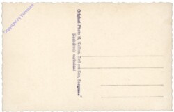 Zell am See, Boot am See