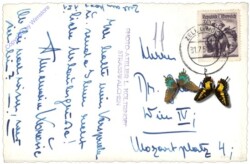 Zell am See, Zellersee mit Schafberg u. Dachstein