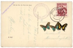 Zell am See, u. Steinernes Meer