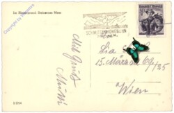 Zell am See, Blick von Bergheim