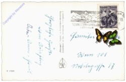 Zell am See, gegen die Tauern