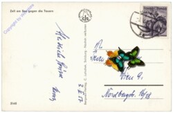 Zell am See, gegen die Tauern