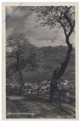 Zell am See, Ansicht