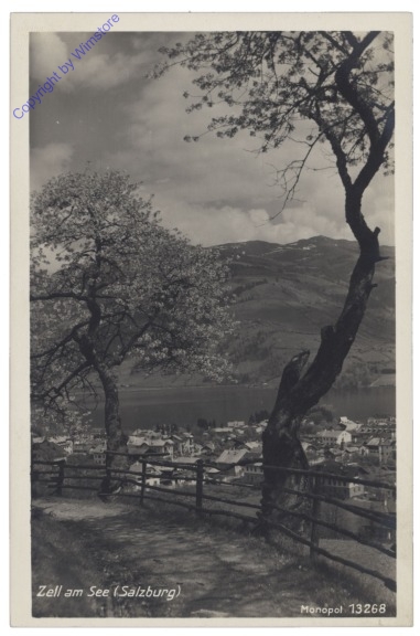 Zell am See, Ansicht