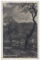 Zell am See, Ansicht