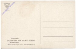 Zell am See, von der Dr.Müller-Promenade