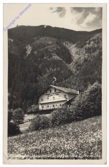 ak122630 Zell am See, Schmittenhöhe
