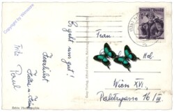 Zell am See, Schmittenhöhe