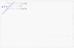 Zell am See, Haus Hollaus Fürth