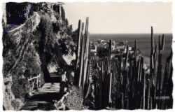 Monaco, Principauté, Le Jardin Exotique et vue sur le Rocher