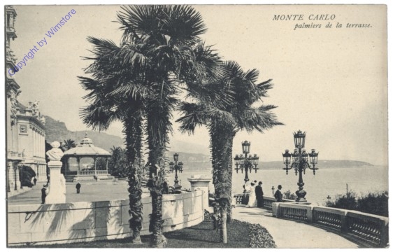 Monaco, Monte Carlo, palmiers de la terrasse