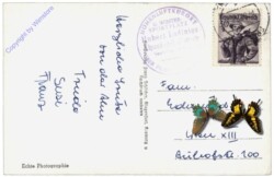 Flattnitz, Flattnitzer See