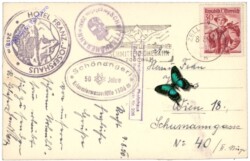 Großglockner, Großglocknergruppe von der Schmittenhöhe