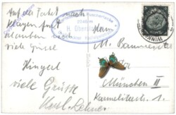 Großglockner, Großglocknerstrasse, Fuscher Lacke gegen Hocharn