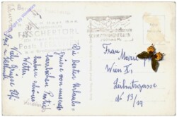 Großglockner, Großglockner Hochalpenstrasse, Käfertal, Nordrampe