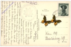 Mallnitz, Mallnitzer Tauern, hagenerhaus mit Schareck und Herzog Ernst