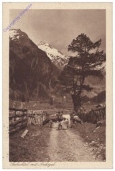 Mallnitz, Seebachtal mit Ankogel
