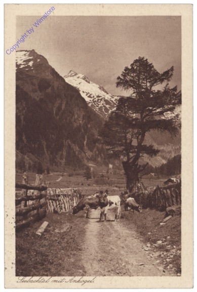 Mallnitz, Seebachtal mit Ankogel
