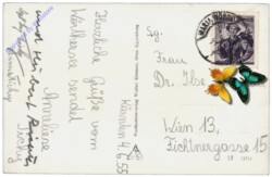 Maria Wörth, Ansicht