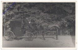 Pferdekutsche, Ausfahrt