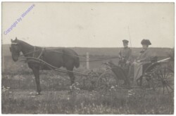 Pferdekutsche, Ausfahrt