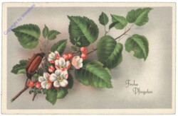 Maikäfer auf Zweigen