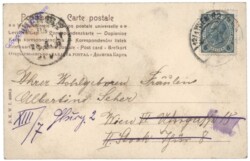 ak123570a Dame mit Pfingstrosen