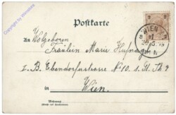 Elfen mit Blumen am See