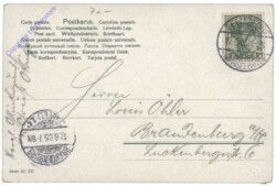 ak123583a Birkenzweige mit Käfer