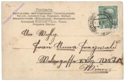 ak123584a Käfer