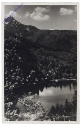 Bad Ischl, Nussensee