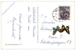 Bad Ischl, Multiansicht