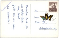 Geiersberg bei Ried, Multiansicht