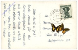 Geiersberg bei Ried, Fliegeraufnahme