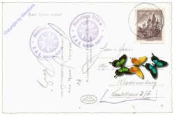 Gosau, Adamekhütte gegen Bischofsmütze und Hochkönig