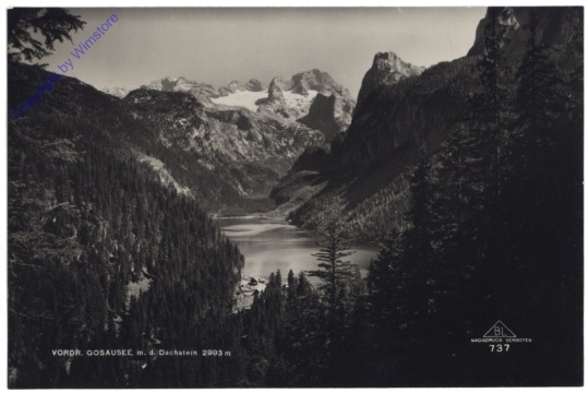 Gosau, Vorderer Gosausee m.d. Dachstein