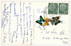 Lauffen, Ortsansicht