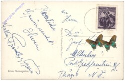 Leonding, Ortsansicht