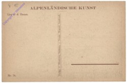 Linz an der Donau, Ansicht