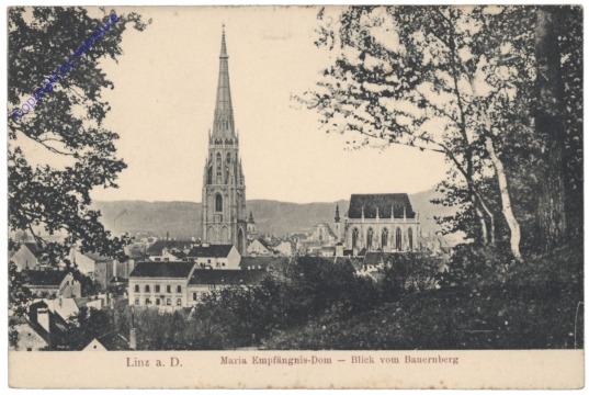 Linz an der Donau, Maria Empfängnis-Dom, Blick vom Bauernberg