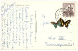 Maria Schmolln, Ortsansicht