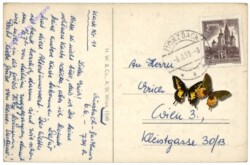 Münzbach, Fliegeraufnahme