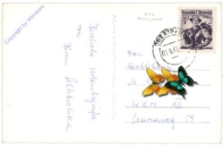 Obertraun, Bundessportschule, Sporthalle