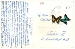 Spital am Pyhrn, mit Bosruck