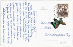 Wels, Volksbildungsheim Schloss Puchberg